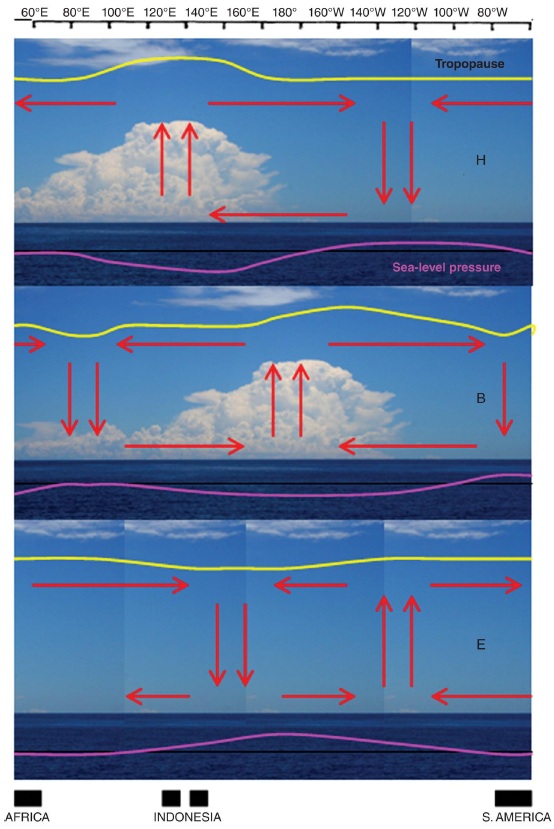 Gambar 6. Diagram skematik siklus MJO dan propagasi pusat konveksi tropis dari Samudra Hindia ke Samudra Pasifik (Galvin, 2016)